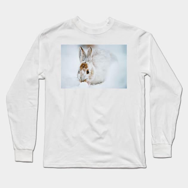 Show Shoe Hare Long Sleeve T-Shirt by jaydee1400